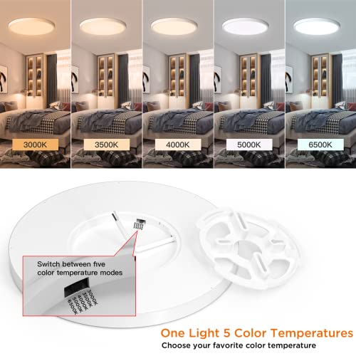 Flush Mount Light Fixture (6 Count)
