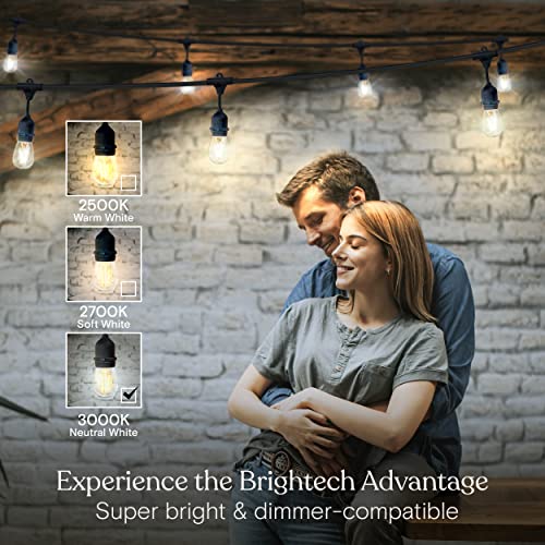 Ambience Pro 24 Ft Waterproof LED Outdoor String Lights (24 Foot)