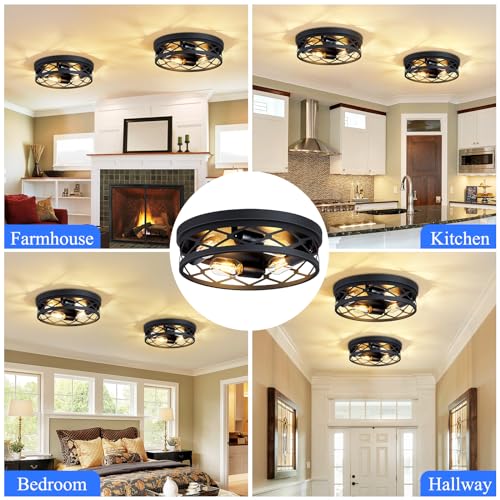 Flush Mount Ceiling Light Fixture (2 Count)