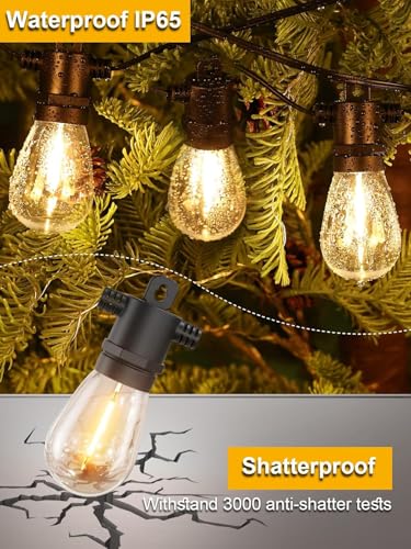 Outdoor String Lights LED 25 FT (25 Foot)