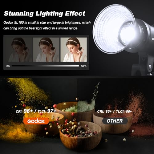 2PACK SL100D COB LED Continuous Video Light Kits (2 Count)