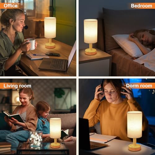 Rechargeable Cordless Touch Table Lamp with Stepless Dimming