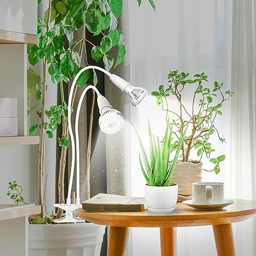 Grow Lights for Indoor Plants