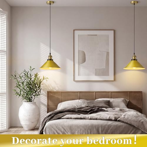 6 Pcs Industrial Pendant Light (6 Count)