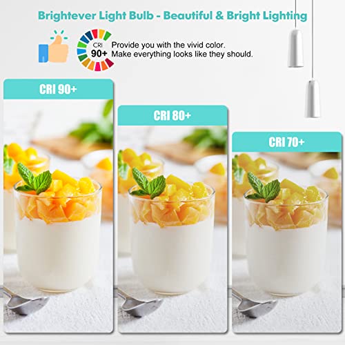 LED Light Bulbs (4 Count)