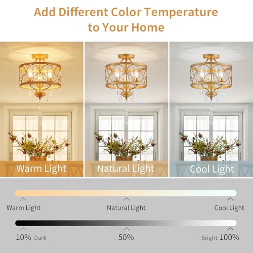 Crystal Ceiling Light Fixture