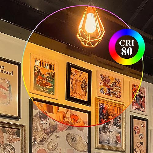 E26 Edison Bulbs 60W (2 Count)