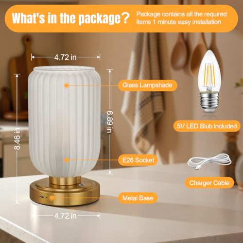 Cordless Table Lamp for Bedroom