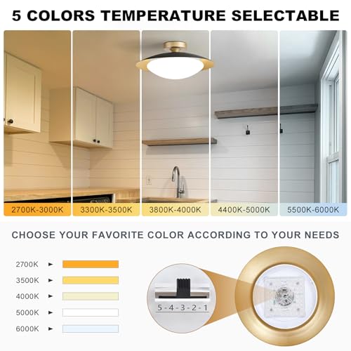 Dimmable Modern LED Black and Gold Ceiling Light Fixture 15.75 in