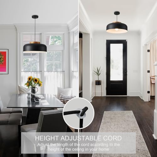 Large Pendant Light Fixture