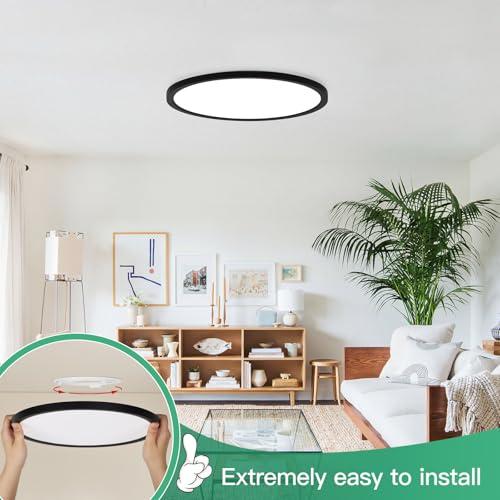 12 Inch LED Flush Mount Ceiling Light Fixture (2 Count)