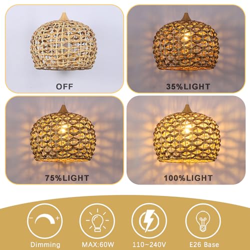 Boho Pendant Lights