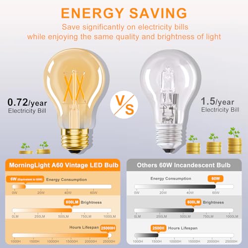 Dimmable A19 Vintage LED Edison Bulbs 60W (6 Count)