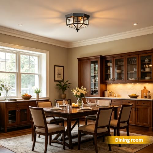 Flush Mount Outdoor Ceiling Light Fixture