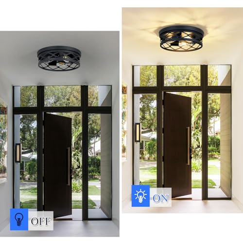 Flush Mount Ceiling Light Fixture