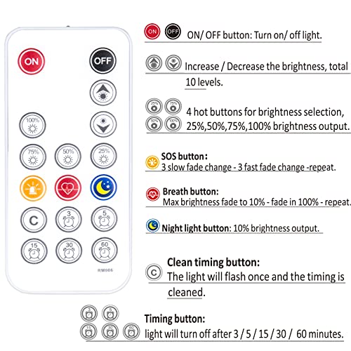 LED Vanity Mirror Lights with RF Remote