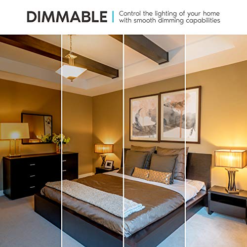 A19 LED Light Bulb 60W Equivalent 800LM (24 Count)