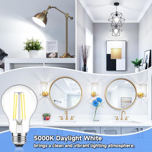 A19 Vintage LED Edison Bulbs Dimmable 60W Equivalent High Brightness (10 Count)
