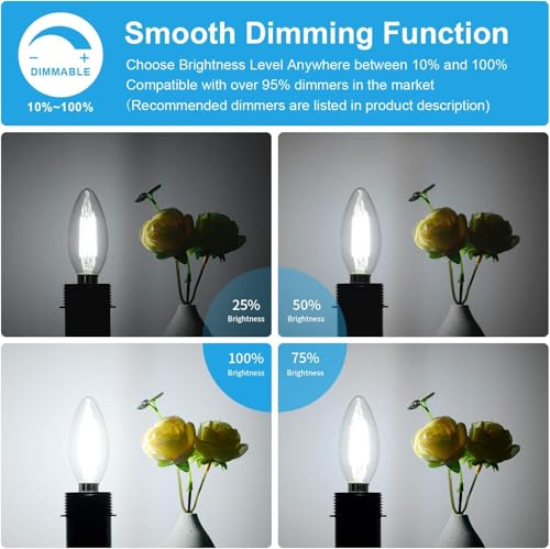 48 Pack Dimmable E12 LED Candelabra Bulbs 60W Equivalent (48 Count)