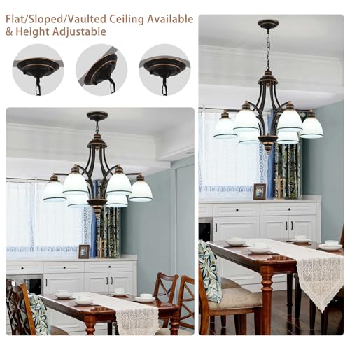 6 Light Chandelier