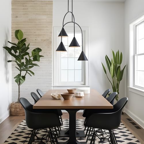 Matte Black Industrial Pendant Light Fixture