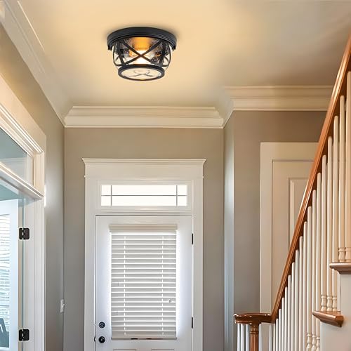 Flush Mount Ceiling Light Fixture Black