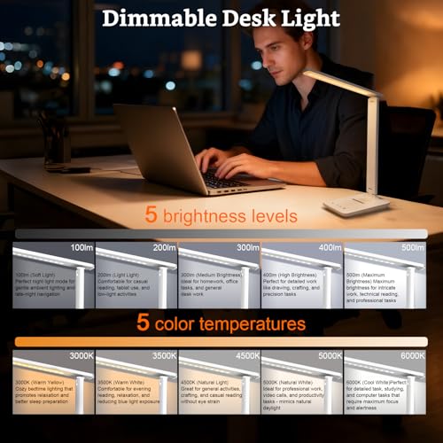 LED Portable Bright Rechargeable Desk Lamp
