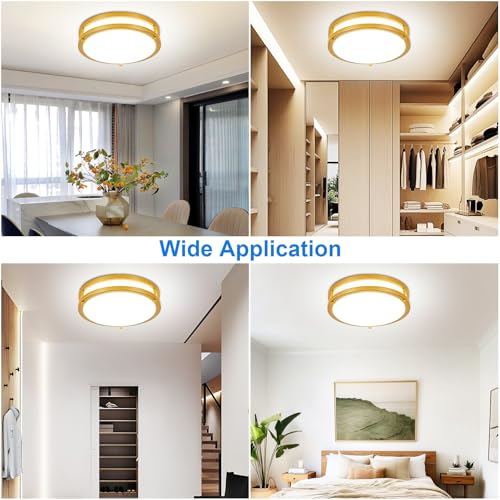 DLLT Flush Mount LED Ceiling Light