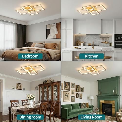 Modern LED Ceiling Light