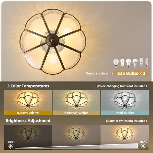Bronze Vintage Ceiling Light
