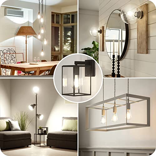 4 Pack Vintage LED Edsion Bulbs 100W Equivalent (4 Count)