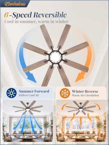 65 Inch Black Ceiling Fans with 3CCT Lights and Remote (Oil Bronze / 65")