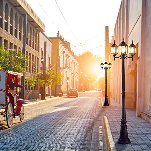 Outdoor Lamp Post Light 3