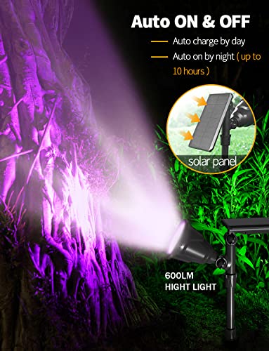 Solar Outdoor Lights (2 Count)