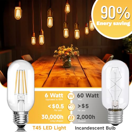 Dimmable Vintage E26 6W LED Edison Bulbs 60W Equivalent 600 Lumens 2700K Warm White CRI90 T45 Antique LED Bulb Clear Glass for Chandeliers (2 Count)