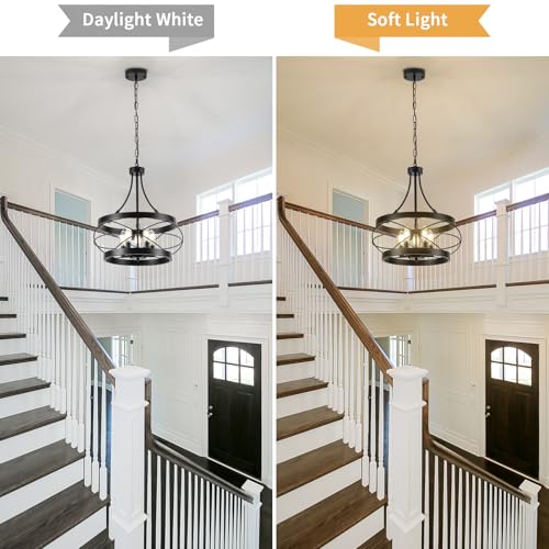 5 Light Farmhouse Chandelier (5 Count)