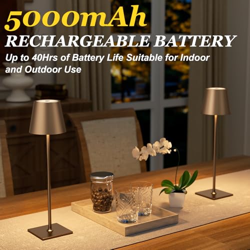Brown Cordless Rechargeable Table Lamp 5000mAh Battery Operated Lamps (2 Count)