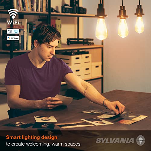 Sylvania WiFi LED Smart ST19 Amber Finish Light Bulb