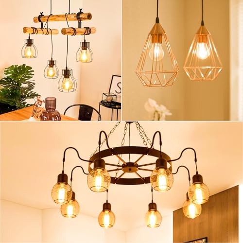 A19 Vintage LED Edison Light Bulbs 60 Watt (6 Count)