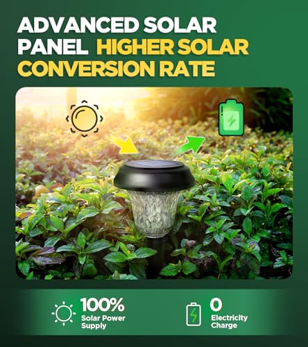 10 Pack Ultra Bright Solar Lights Outdoor Waterproof (10 Count)