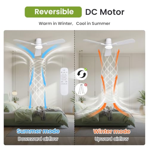 52" Ceiling Fans with Lights and Remote (White / 52 Inch)