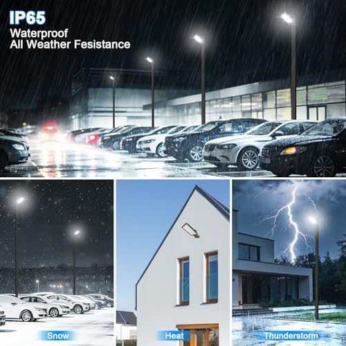 350W LED Parking Lot Light Trunnion Mount 52500LM 5000K IP65