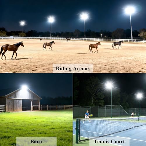 300W LED Parking Lot Light