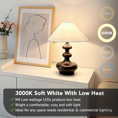 A19 LED Light Bulbs (24 Count)