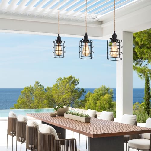 3 Light Hanging Light with Plug in Cord