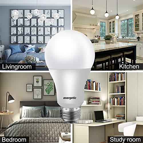 Energetic 24 Pack A19 LED Light Bulb (24 Count)