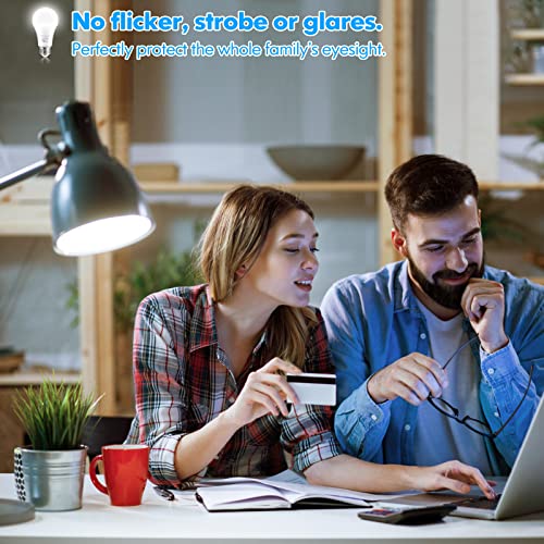 LED Light Bulbs (20 Count)