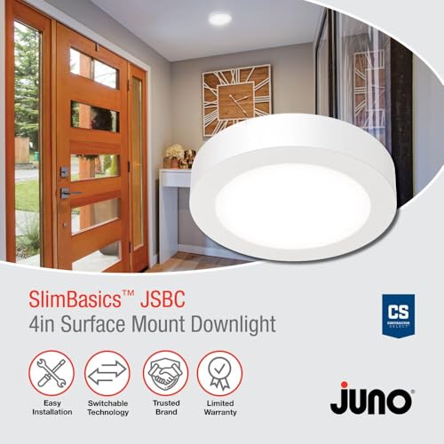 Slim Basics 4 Inch LED Ceiling Light