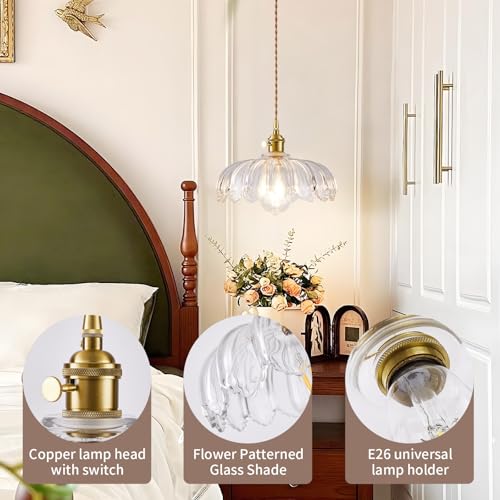 Plug in Pendant Light