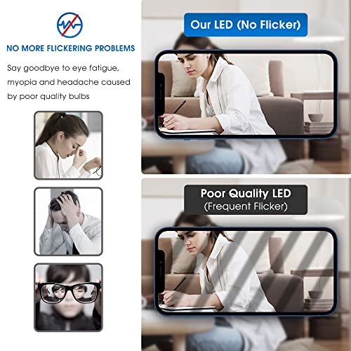 LED Light Bulbs (2 Count)